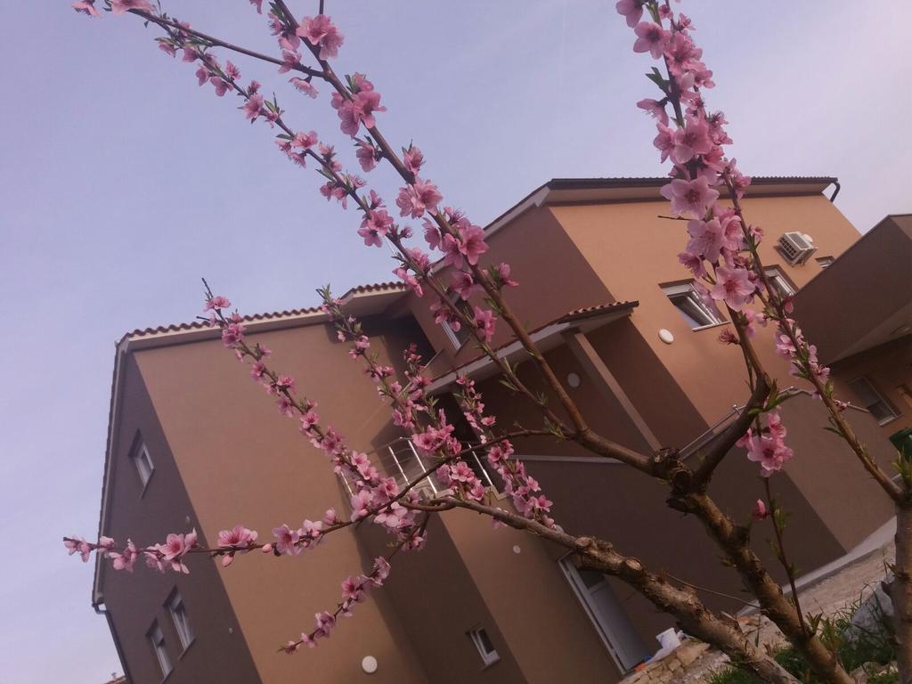 Apartmani B&B Ližnjan Extérieur photo
