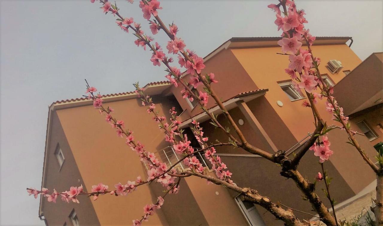 Apartmani B&B Ližnjan Extérieur photo